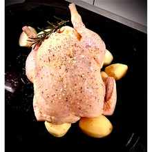 Chicken - Whole Bird