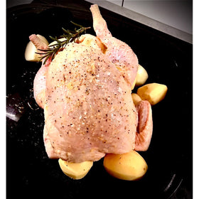 Chicken - Whole Bird