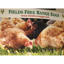 Free Range Eggs